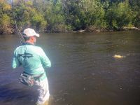 Fly fishing picture