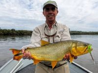 Fly fishing picture