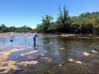 Fly fishing picture