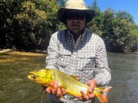 Fly fishing picture