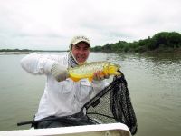 Fly fishing picture