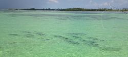 Lower Florida Keys, Key West, Florida Keys, United States