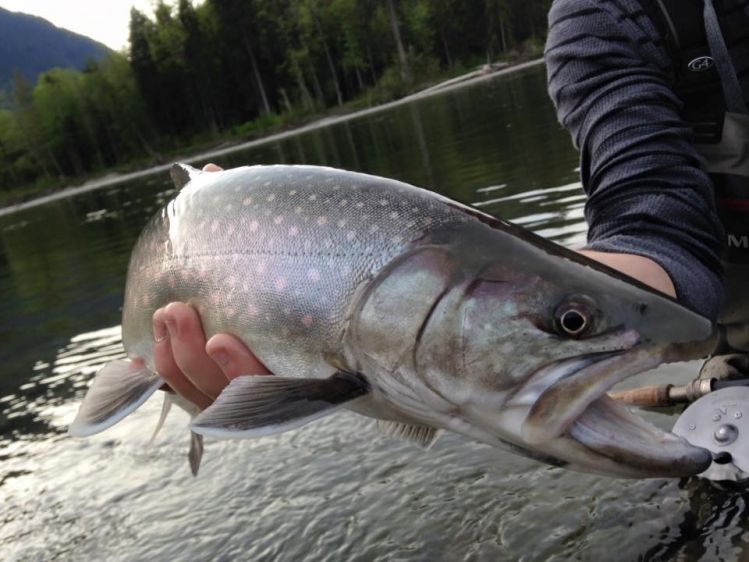 Fishing Report: Squamish River by Brian Mack