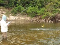 Foto de pesca con mosca