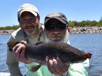 Foto de pesca con mosca