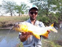 Fly fishing picture