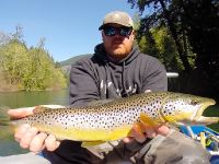 meat eating brown trout on the Cowichan river  
