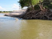 Fly fishing picture