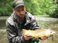 Ryan Wild Pa Brown Trout