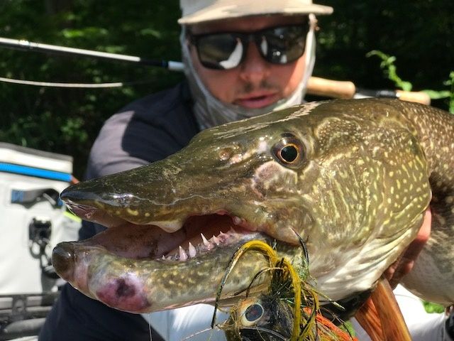 Fishing Report: Allegheny River by Scott Grassi