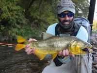 Fly fishing picture