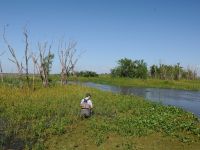 Fly fishing picture