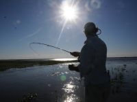 Fly fishing picture