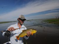 Fly fishing picture