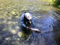 Fly fishing picture