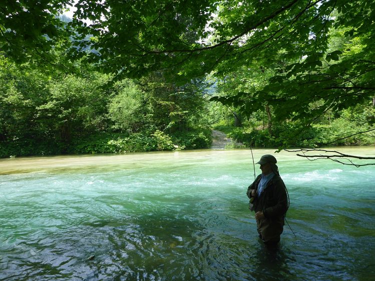 Sava Bohinjka river a late spring afternoon out there on the river.. caterpillars are best patterns under those trees! 