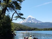 Fly fishing picture