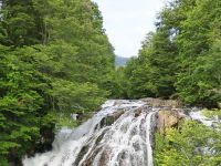 Fly fishing picture