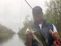 Flyfishing for largemouth bass in the freshwater canals of the Everglades 