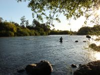 Foto de pesca con mosca