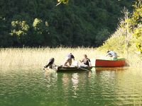 Fly fishing picture