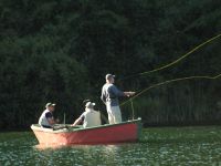 Fly fishing picture