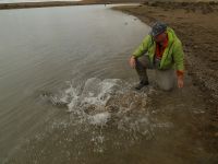 Foto de pesca con mosca