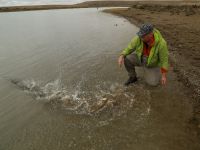 Foto de pesca con mosca