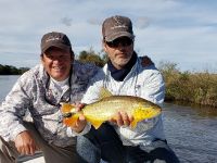 Fly fishing picture