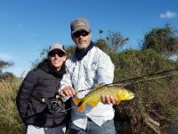 Fly fishing picture