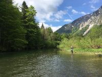 Fly fishing picture