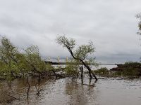 Foto de pesca con mosca