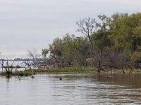 Fly fishing picture