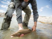 Foto de pesca con mosca