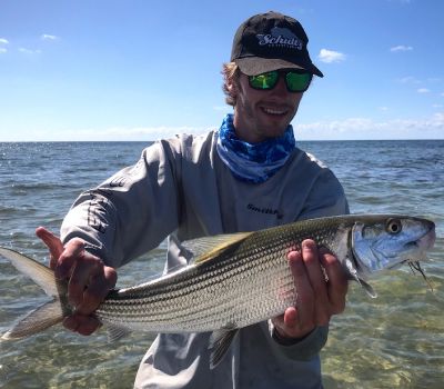 ladyfish  Bonefish on the Brain