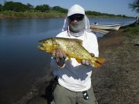 Foto de pesca con mosca