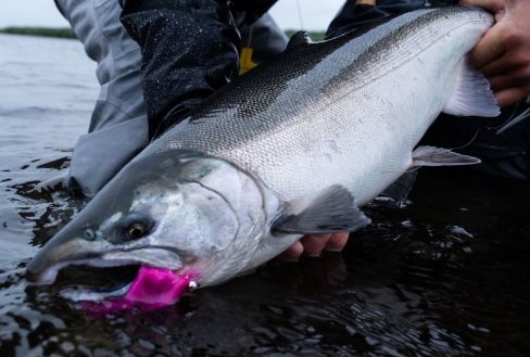 Bristol Bay Sportfishing Alaska