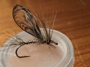 Oregami Winged Fly.....tail, wing, hackle all from Coq De Leon