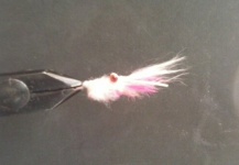 Ghost Whisper  /  Ghost shrimp fly ( Al Quattrocchi )