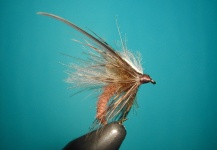 Caddis emerger CDC body.