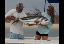 Roosterfish